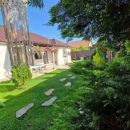 Casa Steluta